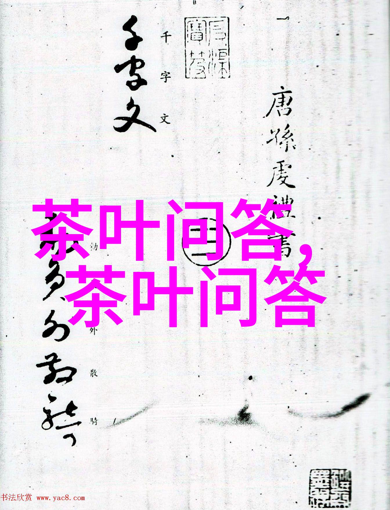 探秘九曲红梅西湖区的茶中瑰宝