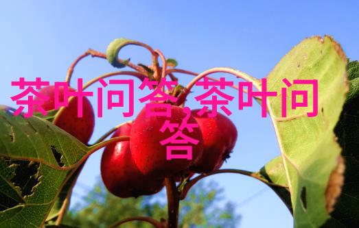 探秘半岛高山茶叶的神秘产地