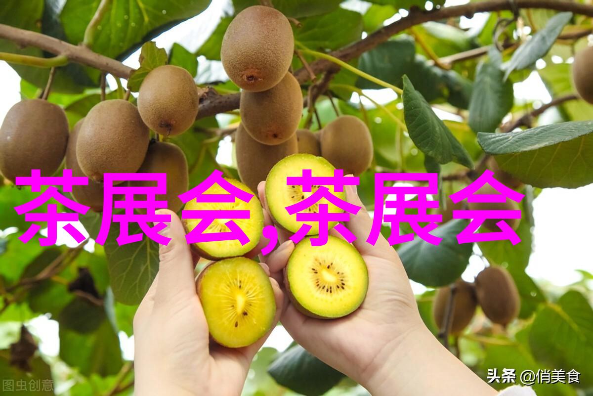 中国澳网首胜19岁小花创个人历史首次参加大满贯正赛进次轮恋夜秀场新站小阿俏怪ayakashi