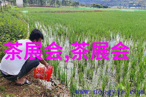 2014武汉茶博会展会简资讯