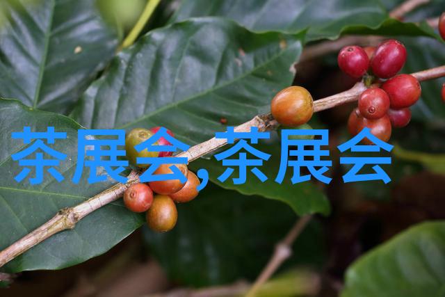 亚洲杯2轮结束4强队提前出线中日澳第一韩国想踢中国需奇迹行运一条龙墨盒堵了怎么办刘成刘雪全文免费笔趣